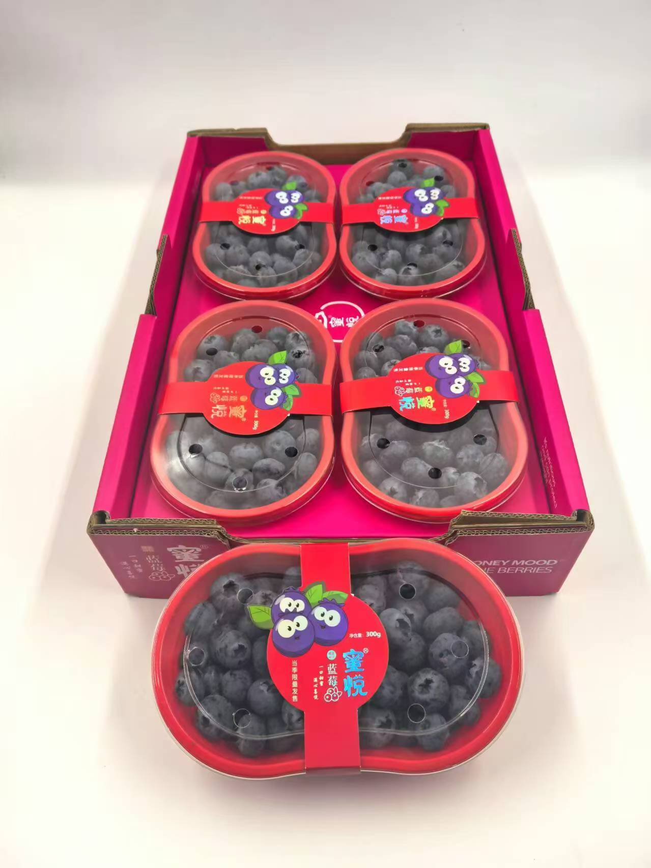 微信图片_20250520104037.jpg